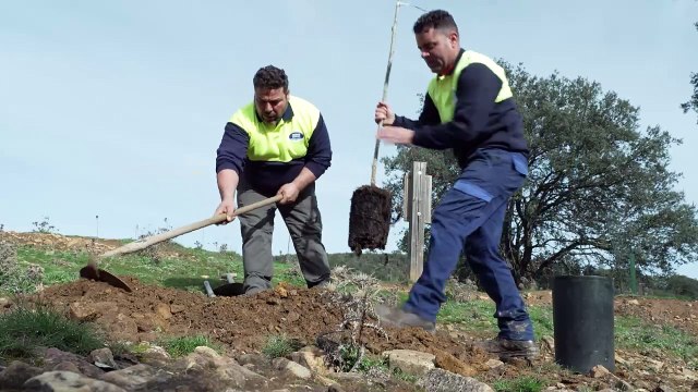 400 nuevos árboles para proteger los recursos hídricos del arroyo de Benazaire