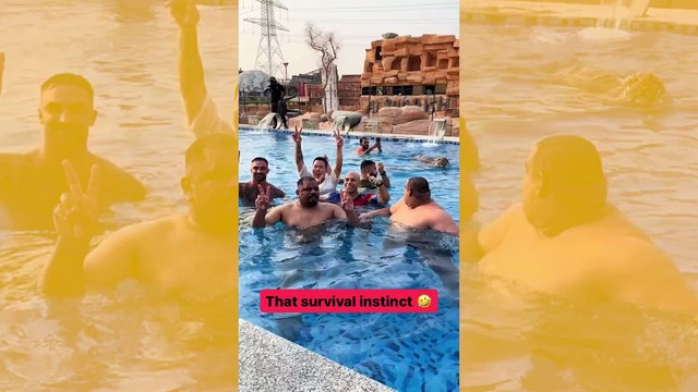 Hauska ja pelottava video: tiikeri hyökkää uima-altaaseen, ja pyöreät ihmiset näyttävät ketteryys