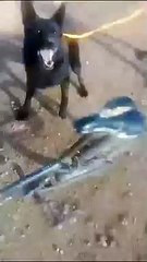 شهد شخص غريب فكانت ردة فعله مفاجأة