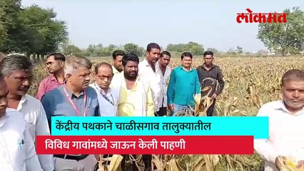 केंद्रीय पथकाने दुष्काळी पाहणी कशी केली