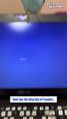 Caught in the Act: Parrot's Hilarious 'Huh?' Moment!  || Best of Internet