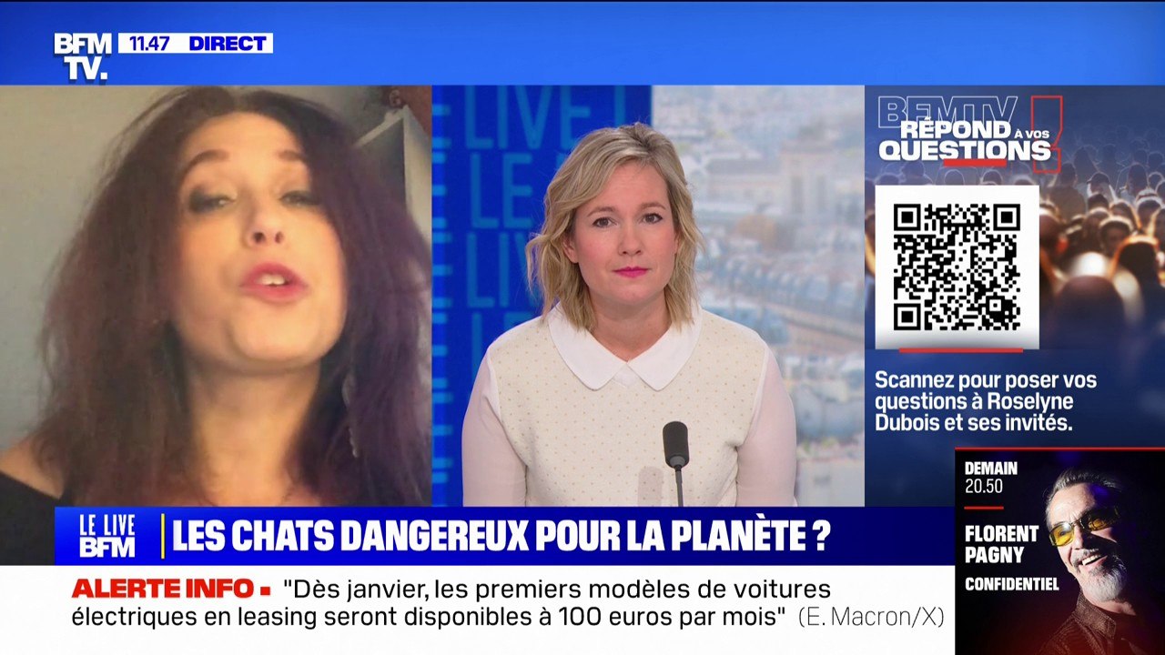 Les chats sont-ils une menace pour la planète?...
