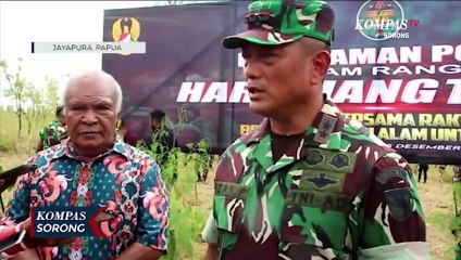 Kodam Cenderawasih Tanam 3000 Pohon di Cagar Alam Cycloop