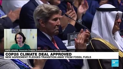 'Honorable mention': Cop28 was not 'breakthrough', will countries honor their commitments?