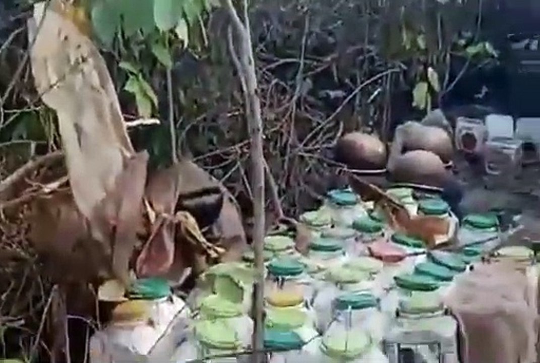आबकारी विभाग ने 110 लीटर कच्ची शराब व 230 डिब्बा महुआ लहान किया जप्त