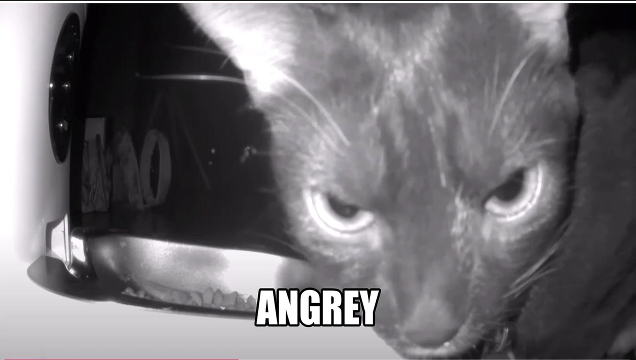 ANGREY 