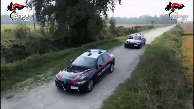 Smantellata un'organizzazione che spacciava ossicodone