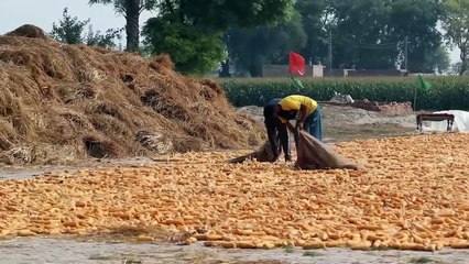 Funniest Fails  Real Funniest Videos