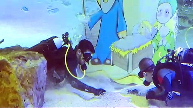 Instalado en el Zoo de Madrid el tradicional Belén dentro del tanque de tiburones