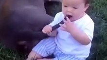 مواقف وطرائف اطفال مع الكلاب هتموتوا من الضحك