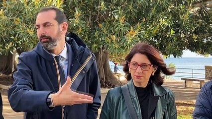 Alberi secolari: sette da tutelare