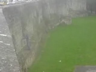 ptijuju en mode salto arriere