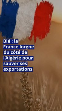 Blé : la France lorgne du côté de l’Algérie pour sauver ses exportations