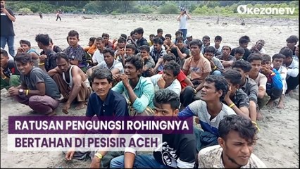 Ratusan Pengungsi Rohingnya Bertahan di Pesisir Aceh Beralas Terpal