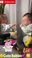 Cute Baby’s The Cuteness Moments of Babies Laughing  #baby #cute #babies #babyshorts