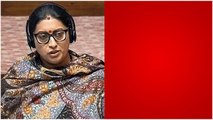 Menstrual Holidays పై Union Minister Smriti Irani సంచలన వ్యాఖ్యలు.. | Telugu OneIndia