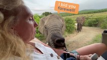 28 Elephants Surround Tourists' Vehicle