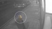 New CCTV shows missing Norwich mother Gaynor Lord’s last sighting