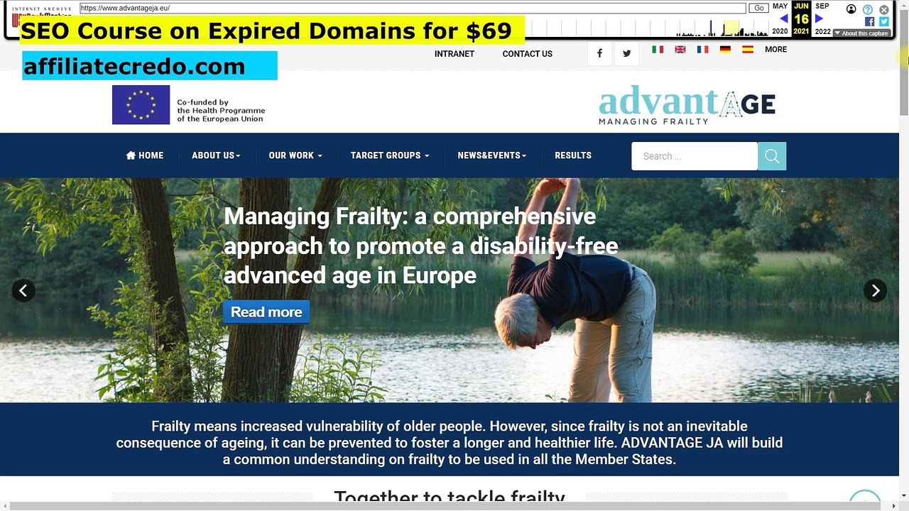 What is Better for SEO - Parasites vs. Expired Domains