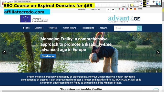 What is Better for SEO - Parasites vs. Expired Domains