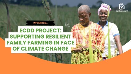 Infomercial: ECDD Project - Supporting resilient family farming in face of climate change