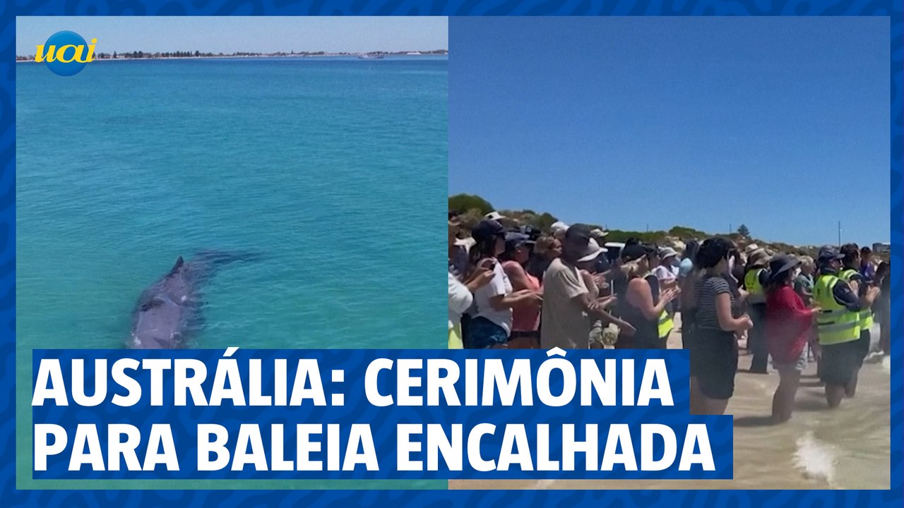 Austrália: cerimônia para baleia encalhada