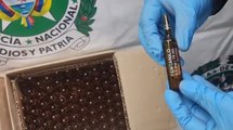 Delincuentes están traficando fentanilo de uso médico a través de correo certificado