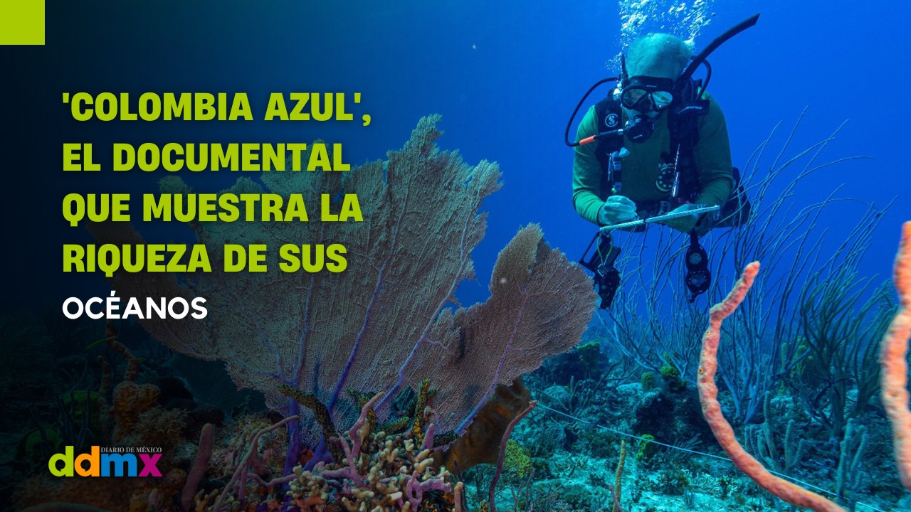 'Colombia Azul', el documental que muestra la riqueza de sus océanos y la necesidad de protegerlos