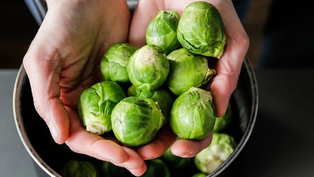 How to Plant and Grow Brussels Sprouts