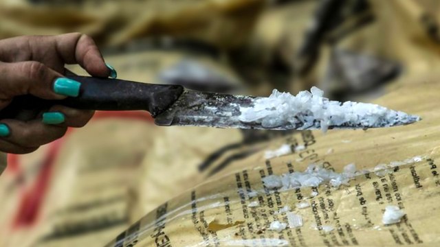 La plante préférée des trafiquants de métamphétamine en Afghanistan