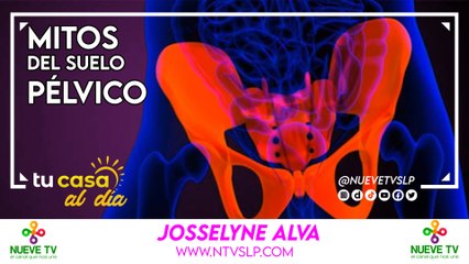 Mitos del Suelo Pélvico