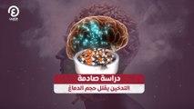 دراسة صادمة .. التدخين يقلل حجم الدماغ