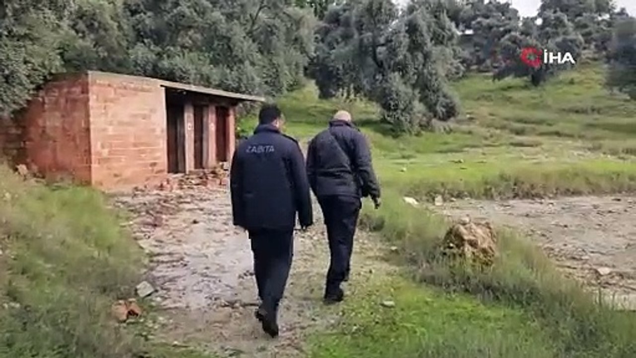 Vahşet! Bunu yapan insan olamaz: Zehirli et yed...