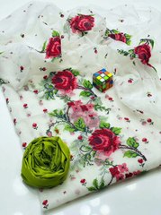 Multicolour embroidery fancy outfits for ladies