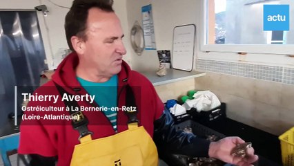 Comment ouvrir une huître ? La méthode de Thierry Averty, ostréiculteur à La Bernerie-en-Retz