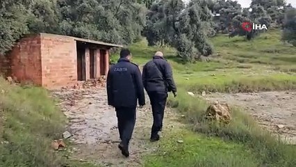 Bu işin sonu nereye gidecek? Aydın'da çok sayıda sokak köpeği telef edildi!