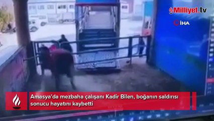 Boğa saldırısı sonucu hayatını kaybetti! O anlar anbean kaydedildi