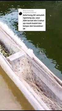 Petani yang terus belajar dari kesalahan insyaallah akan menjadi petani sukses