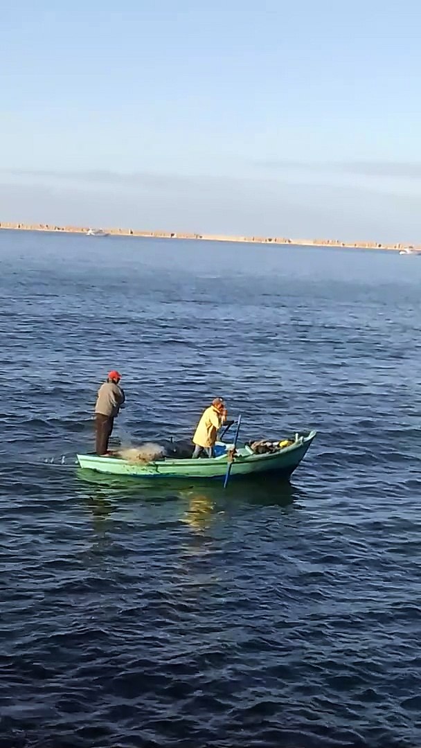 ⁣بحر اسكندرية/ الرزق يحب الخفية see sea