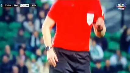 Arbitro Strumgraz: Highlights & Insights