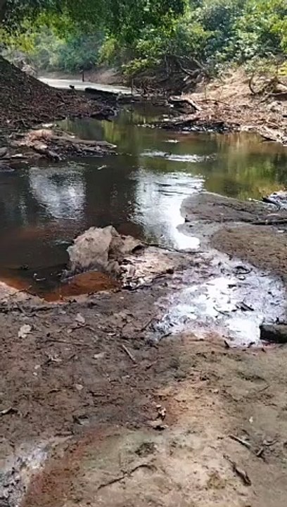 Petani kreatif dan rajin tidak ngeluh, melainkan cari solusi ketika ada kendala
