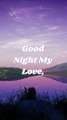 Good Night My Love -  Good Night Love Messages -  Love Quotes