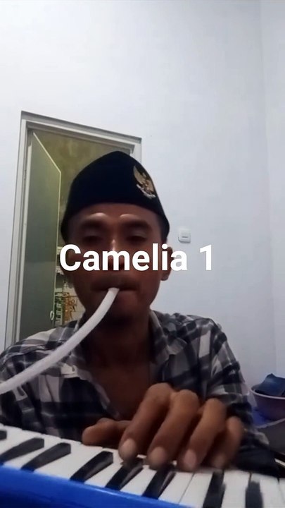 FB_VID_2393381580625273035