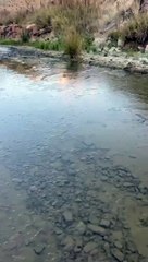 فيديو.. موجة برد تجمّد المياه الجارية بمرتفعات عسير