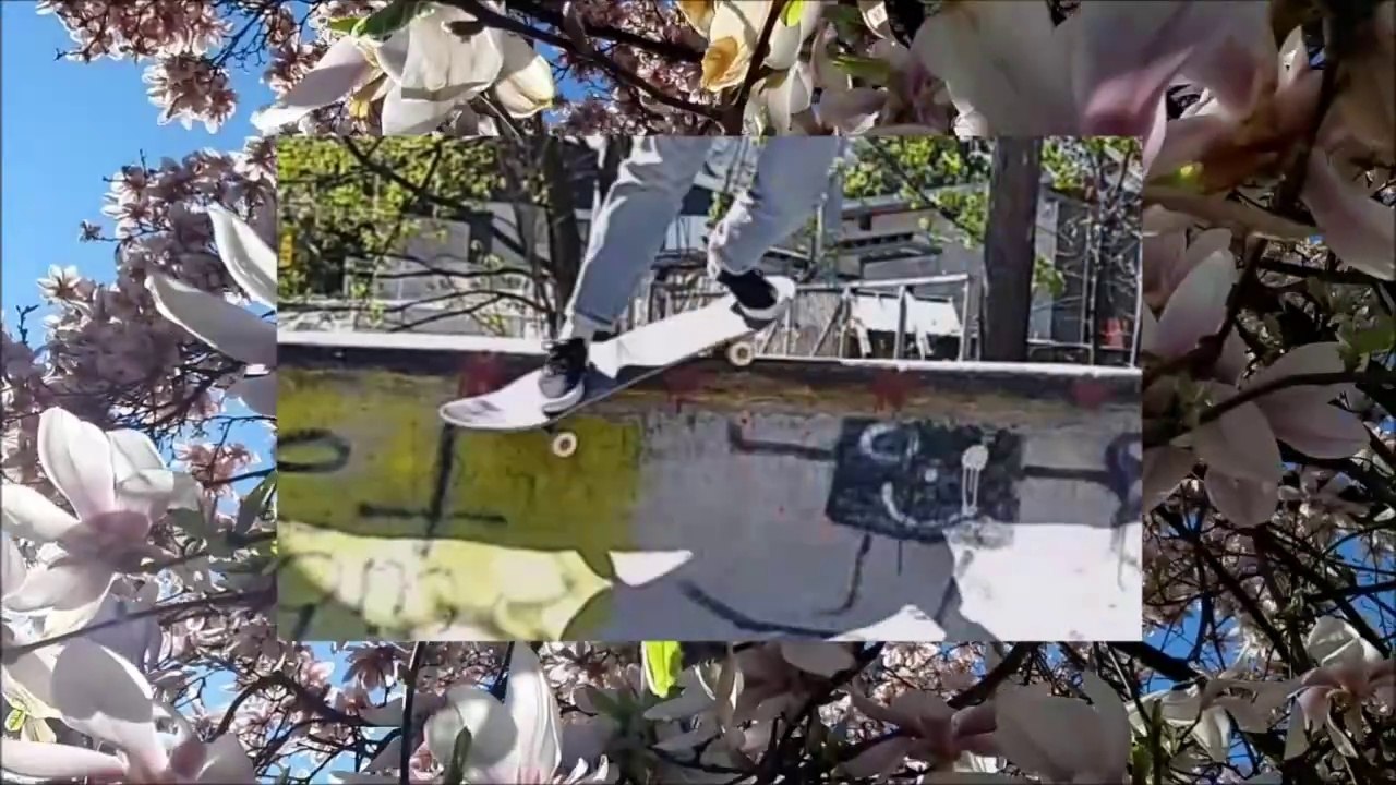 Skateboard, Anne in Puchenau