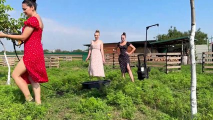 Fragrant Carp with a Ruddy Crust performed by Girls! The Secret Of A Delicious Lunch