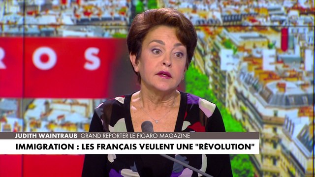 Judith Waintraub, à propos de la loi immigration : «L’épreuve, c’est le test d’unité de la majorité»