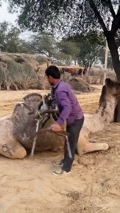 Registaan ka jahaj