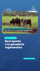 Beni apunta a la ganadería regenerativa