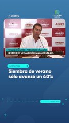 Siembra de verano sólo avanzó un 40%